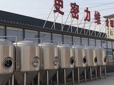 会同精酿啤酒设备厂—市场规模与跨界新需求